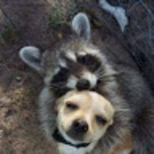 Meet your Posher, Scott